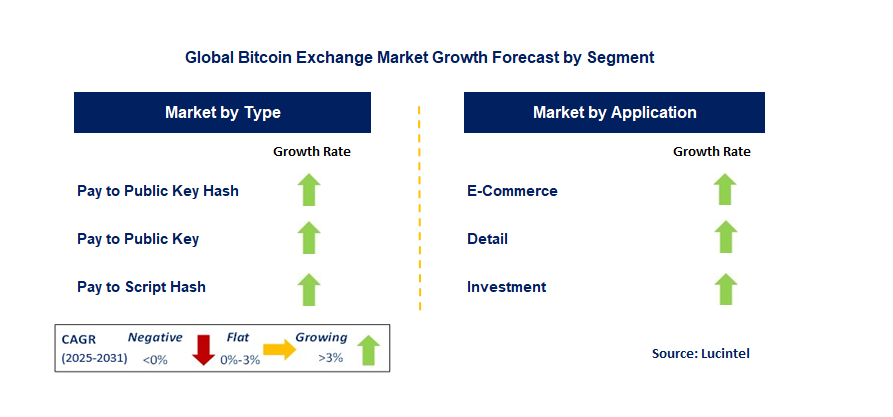 Bitcoin Exchange Market by Segment
